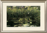 Buy Water Garden Secret at AllPosters.com
