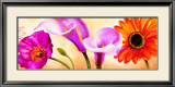 Buy Danse de Fleurs II at AllPosters.com