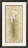 Buy Calla Lilies at AllPosters.com
