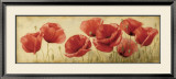 Poppies Grace II