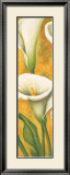 Buy Concert de Callas II at AllPosters.com