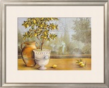 Lemon House near Amalfi