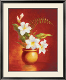 Buy Amaryllis at AllPosters.com