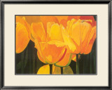 Buy Golden Ocean at AllPosters.com