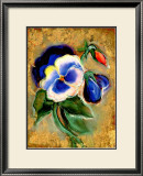 Pansy