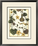 Buy Arts and Crafts Gourd at AllPosters.com