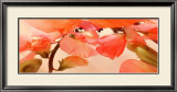 Buy Sweet Peas I at AllPosters.com