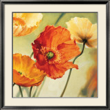 Buy Champs de Coquelicots II at AllPosters.com