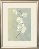 Buy Blue Orchid Stem at AllPosters.com