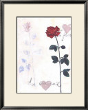 Buy Rose at AllPosters.com