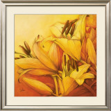 Sunny Orange