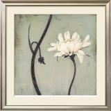 Ivory Blossom