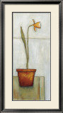 Buy The Blossom at AllPosters.com