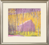 Saltbox Barn, 2002 Framed Art Print