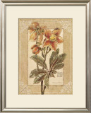 Buy Helleborus at AllPosters.com