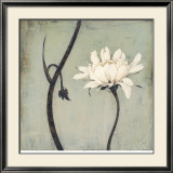 Ivory Blossom