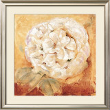 Buy Wild Romance at AllPosters.com