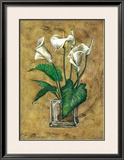 Flores Blancas II