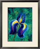Iris II