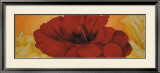 Buy Red Flower at AllPosters.com