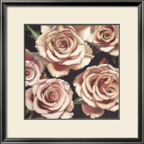 Buy Roses at AllPosters.com