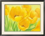 Buy Spring Tulips at AllPosters.com