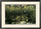 Buy Water Garden Secret at AllPosters.com