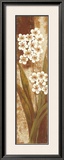 Buy Tropical Blossom II at AllPosters.com