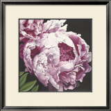 Buy Peony II at AllPosters.com