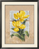 Buy Tulip Poetry at AllPosters.com