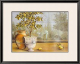 Lemon House near Amalfi
