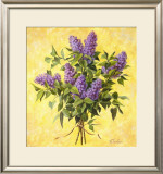 Buy Lilac Season II at AllPosters.com