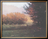Buy Montlake Hedge at AllPosters.com