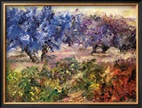 Buy Olivares y Vinedos at AllPosters.com