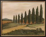 Buy Shady Tuscan Road at AllPosters.com
