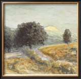 Buy Cerdon at AllPosters.com