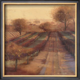 Buy Vineyard Vista at AllPosters.com