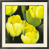 Buy Tulipanes Amarillos at AllPosters.com