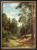 Buy Untouched Nature at AllPosters.com