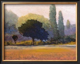 Buy Campana at AllPosters.com