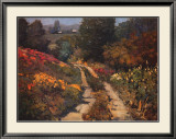Lane in the Gully