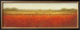 Buy Field of Poppies at AllPosters.com