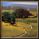 Wandering Vista
