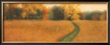 Path to the Woods