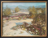 Buy Desert Magic at AllPosters.com