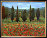 Buy Poppies at AllPosters.com