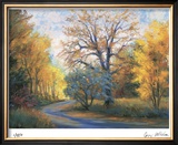 Autumn Road