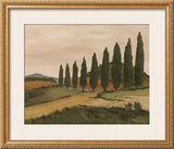 Buy Shady Tuscan Road at AllPosters.com