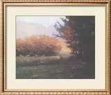 Buy Montlake Hedge at AllPosters.com