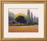 Buy Campana at AllPosters.com
